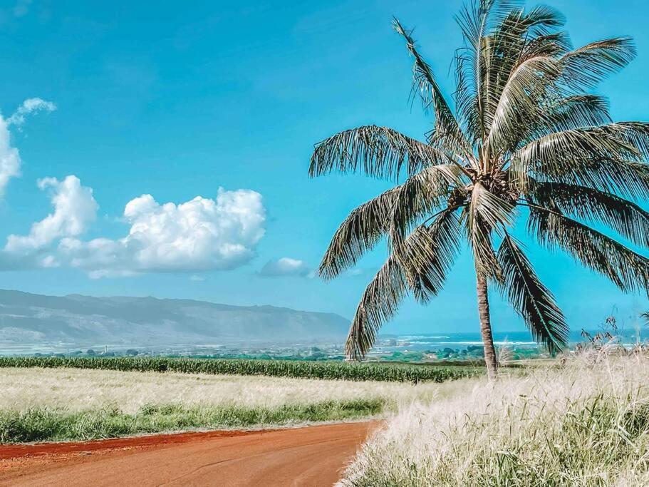 Cute Off Grid Glampsite With Wifi- 5 Min From Haleiwa Town Hotel Luaran gambar